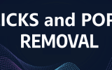 How to Remove Digital Clicks and Pops from Audio