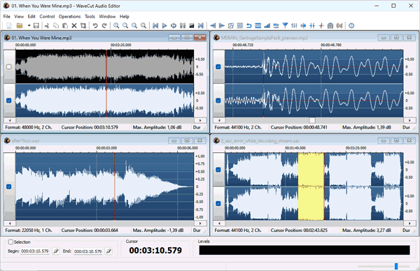 audio editor