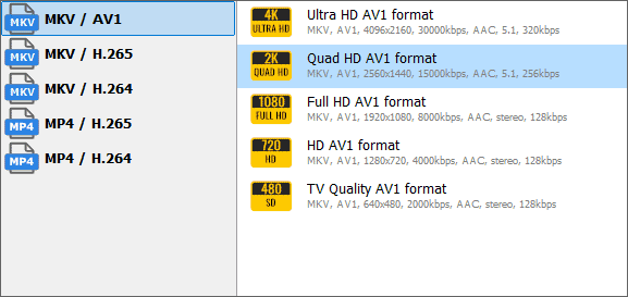 av1 profile