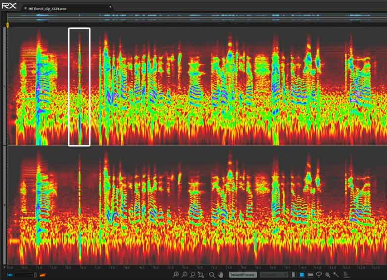 iZotope RX spectral view